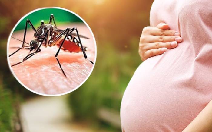 Phụ nữ mang thai mắc sốt xuất huyết có nguy cơ tử vong cao